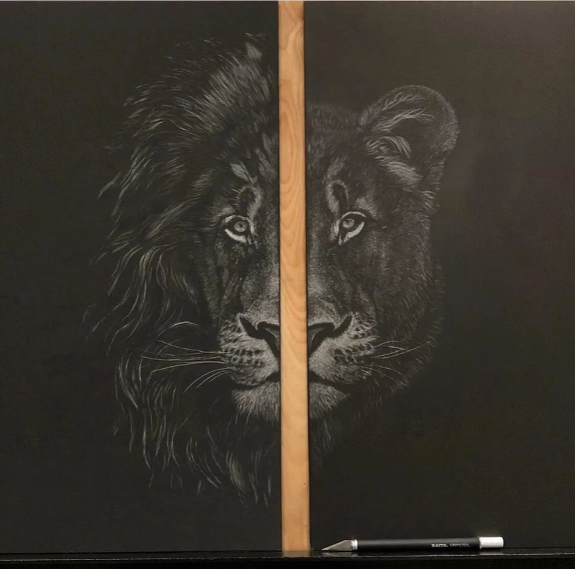 1FB7F5A0-FCA8-4246-AA07-2055237B65FC