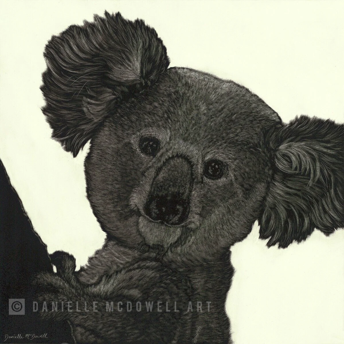 B17BD1F9-3BE7-4BB0-9D43-D7979EA597AC