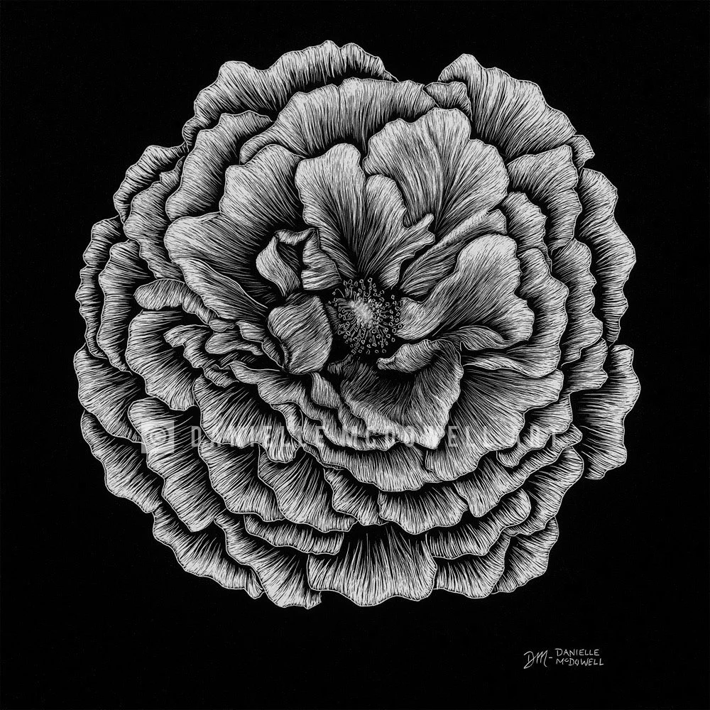 “The House with all the Roses”