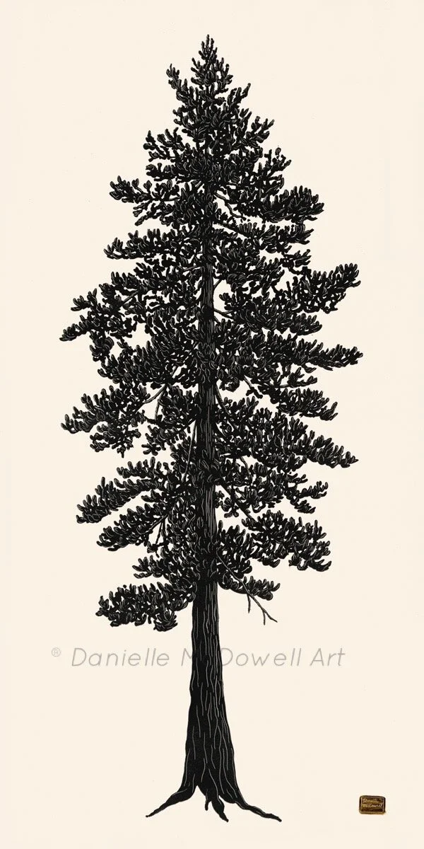 A0CE3EDB-48C4-420A-988B-3E0819DB49DE