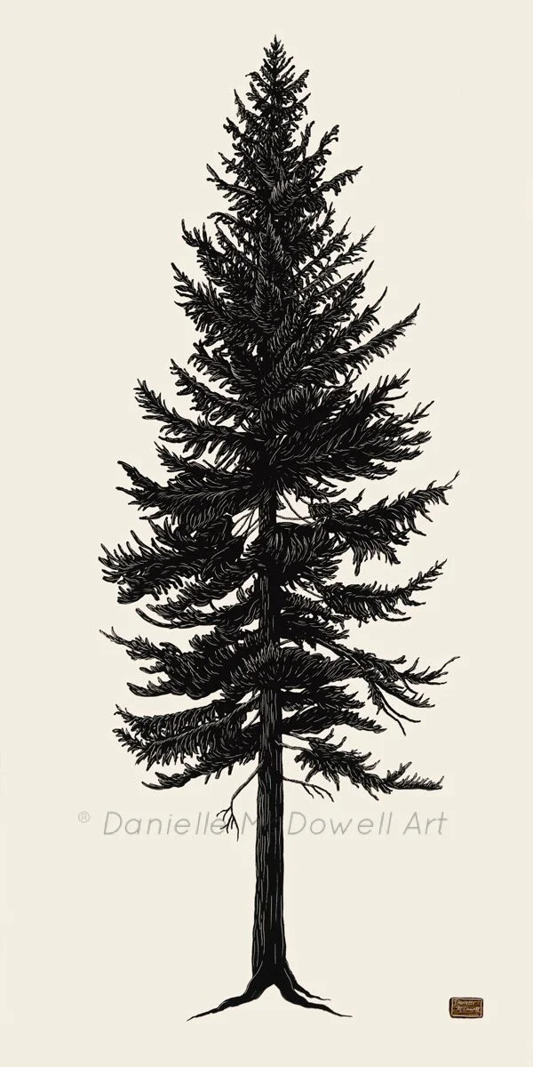 F6E0BBCF-6A4A-4D49-BD03-BEF70709A833