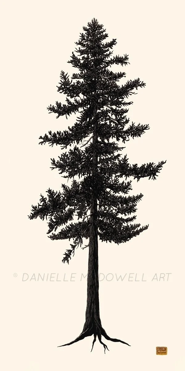 B213BDAC-B2FC-454D-9013-0591C3F412FE