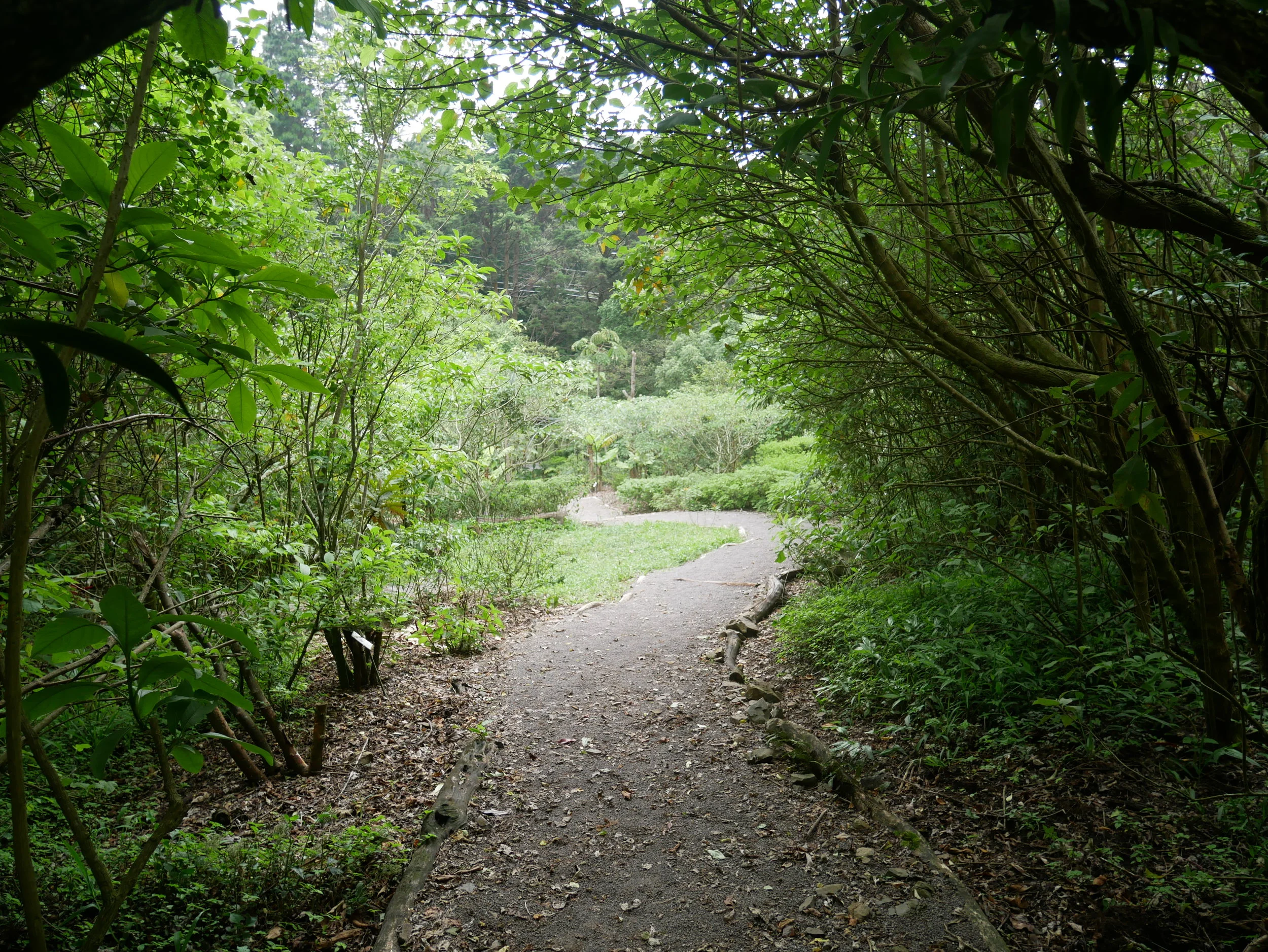 P1010326.JPG