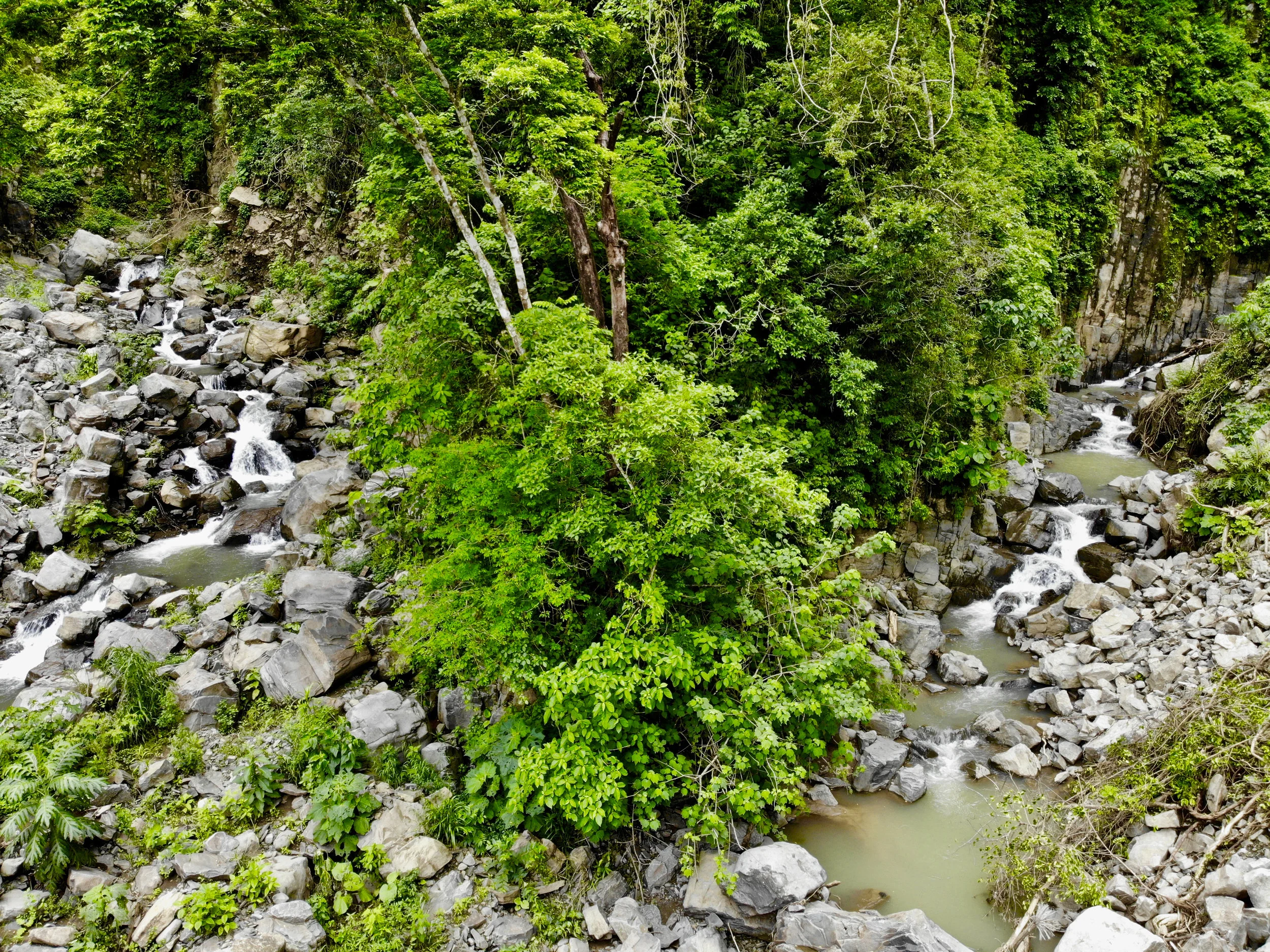Rivers where 2 Merge.jpg