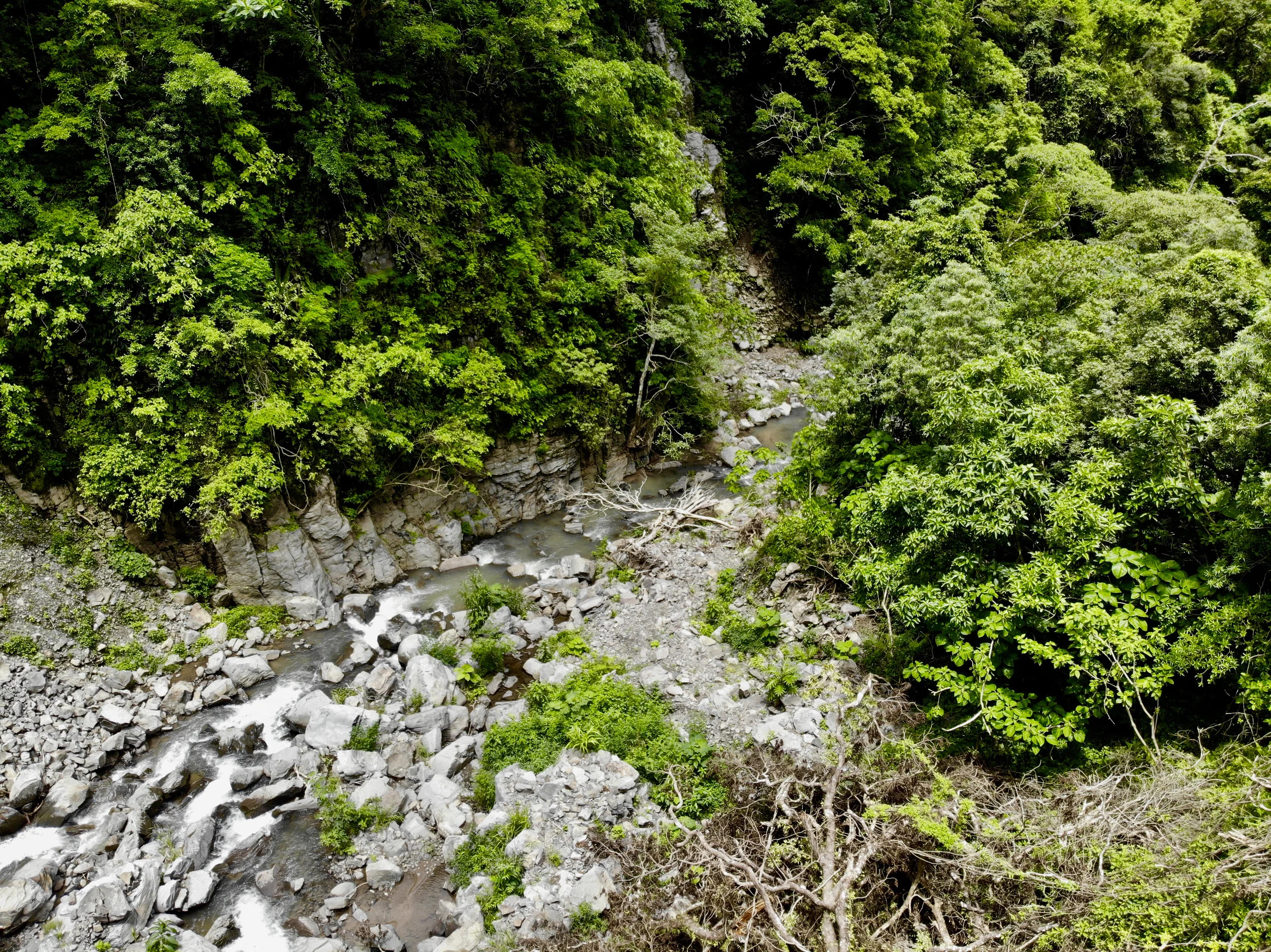 River N.jpg