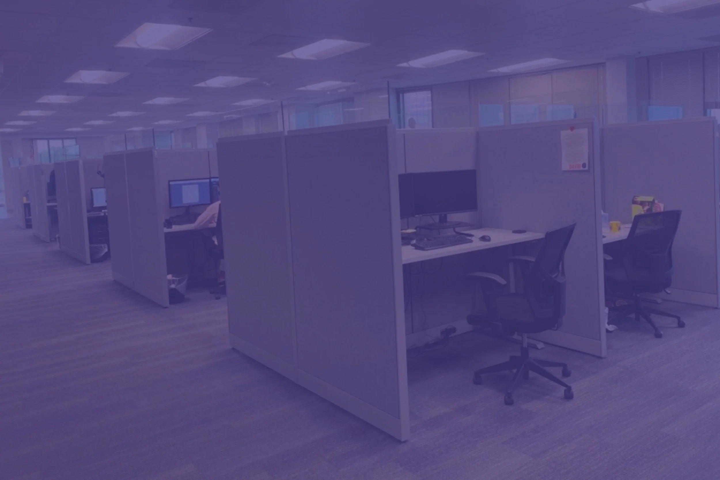 Meet Shale: A Support Team Rockstar