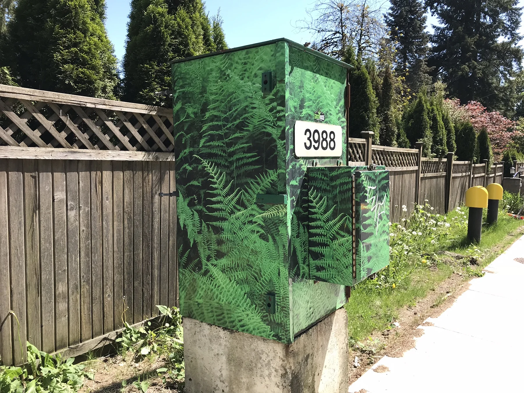 I AM BOX 3988.jpg