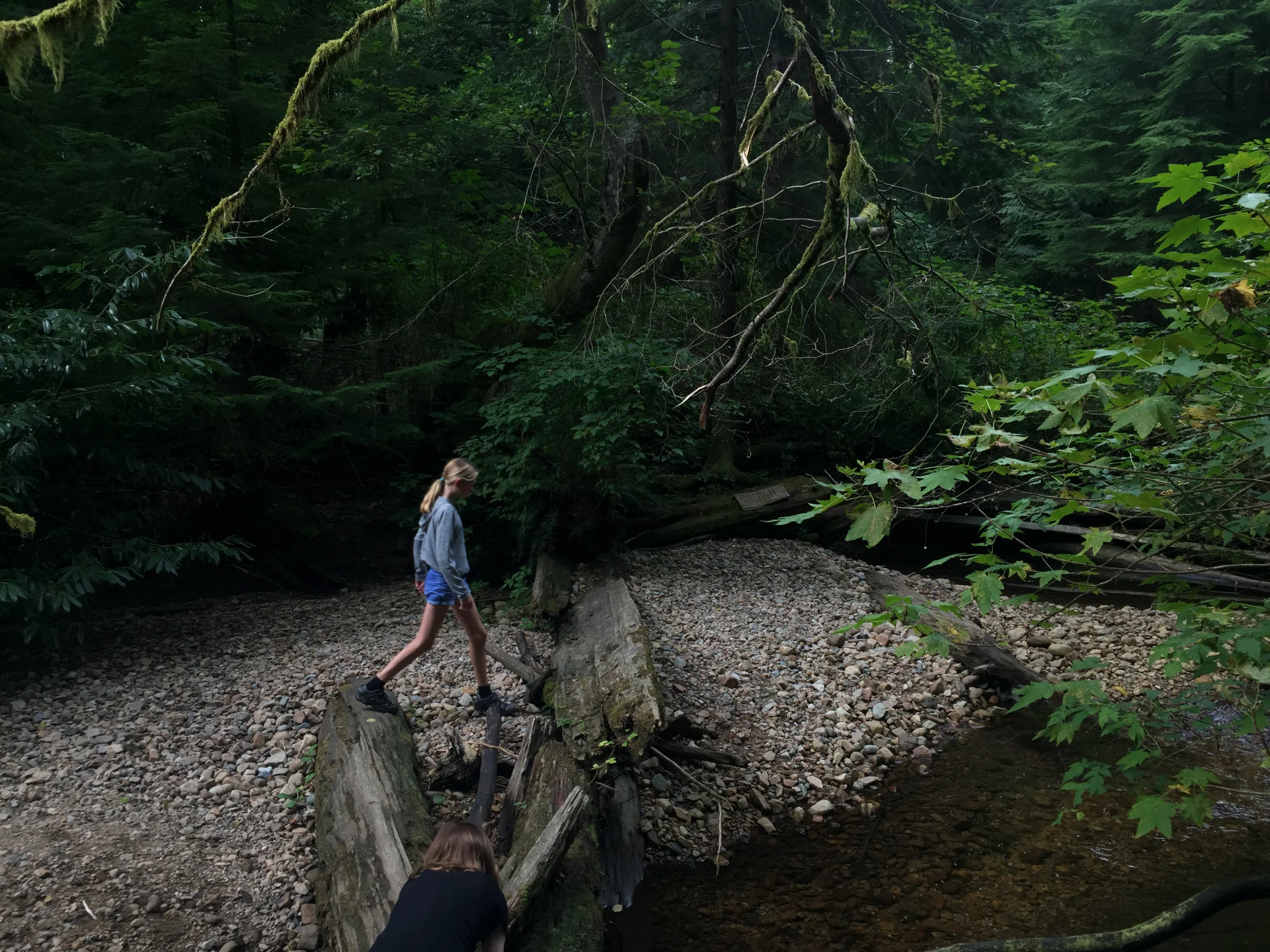 The creek behind our house, North Vancouver 2017