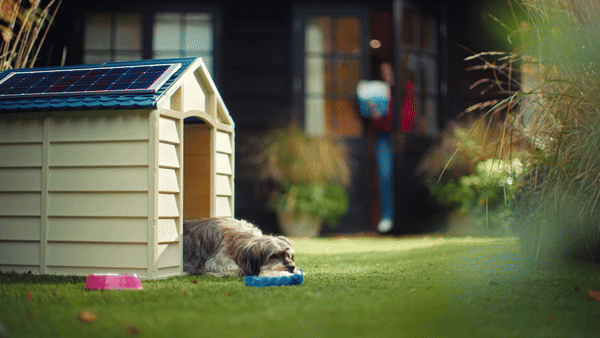 Grub Club TVC