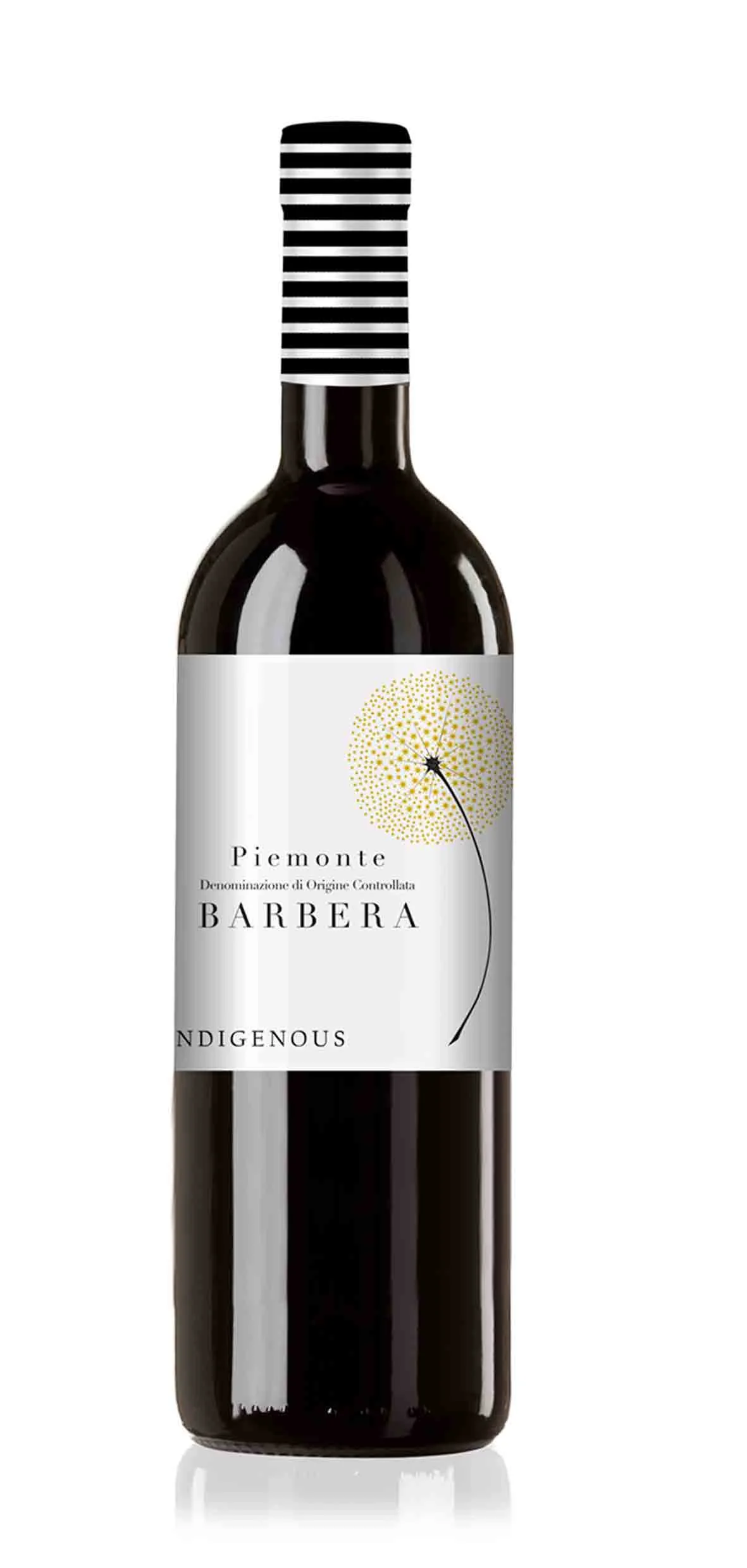 Wine-Indigenous-single-piemontebarbera.jpg
