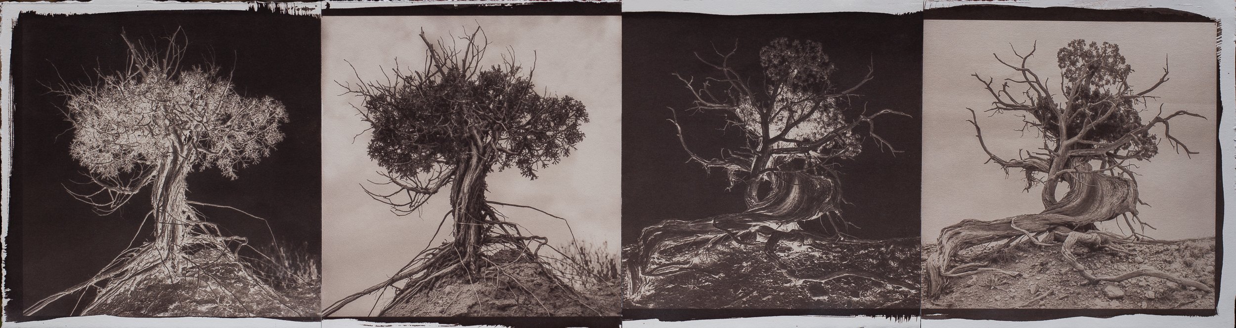 Root of It #4