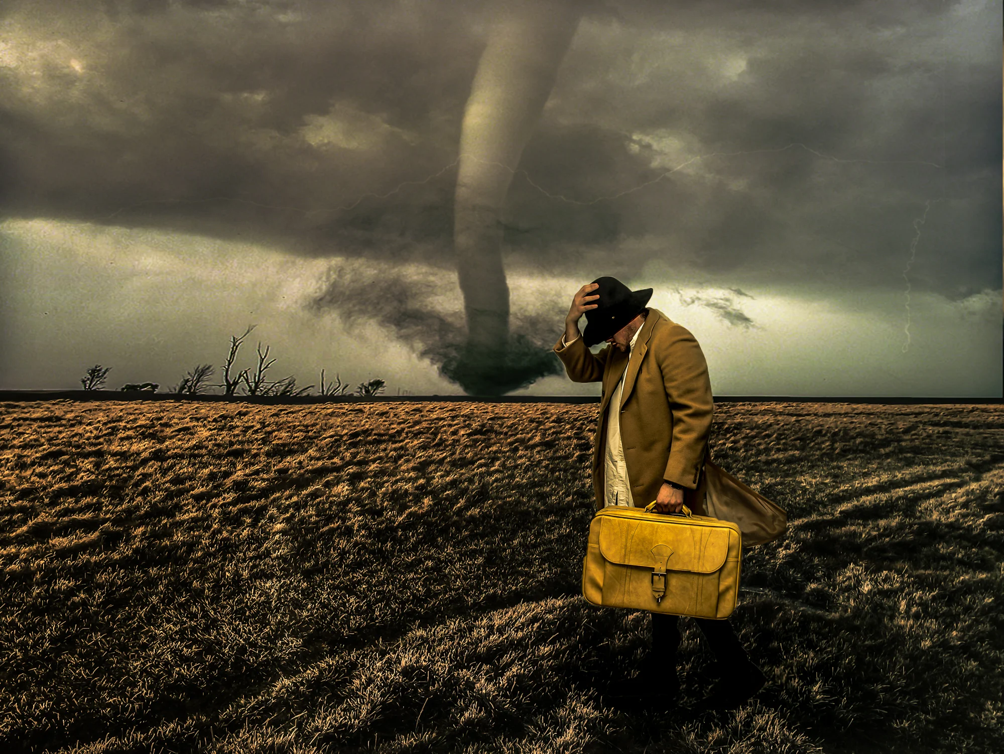 The Wizard of Oz 2018