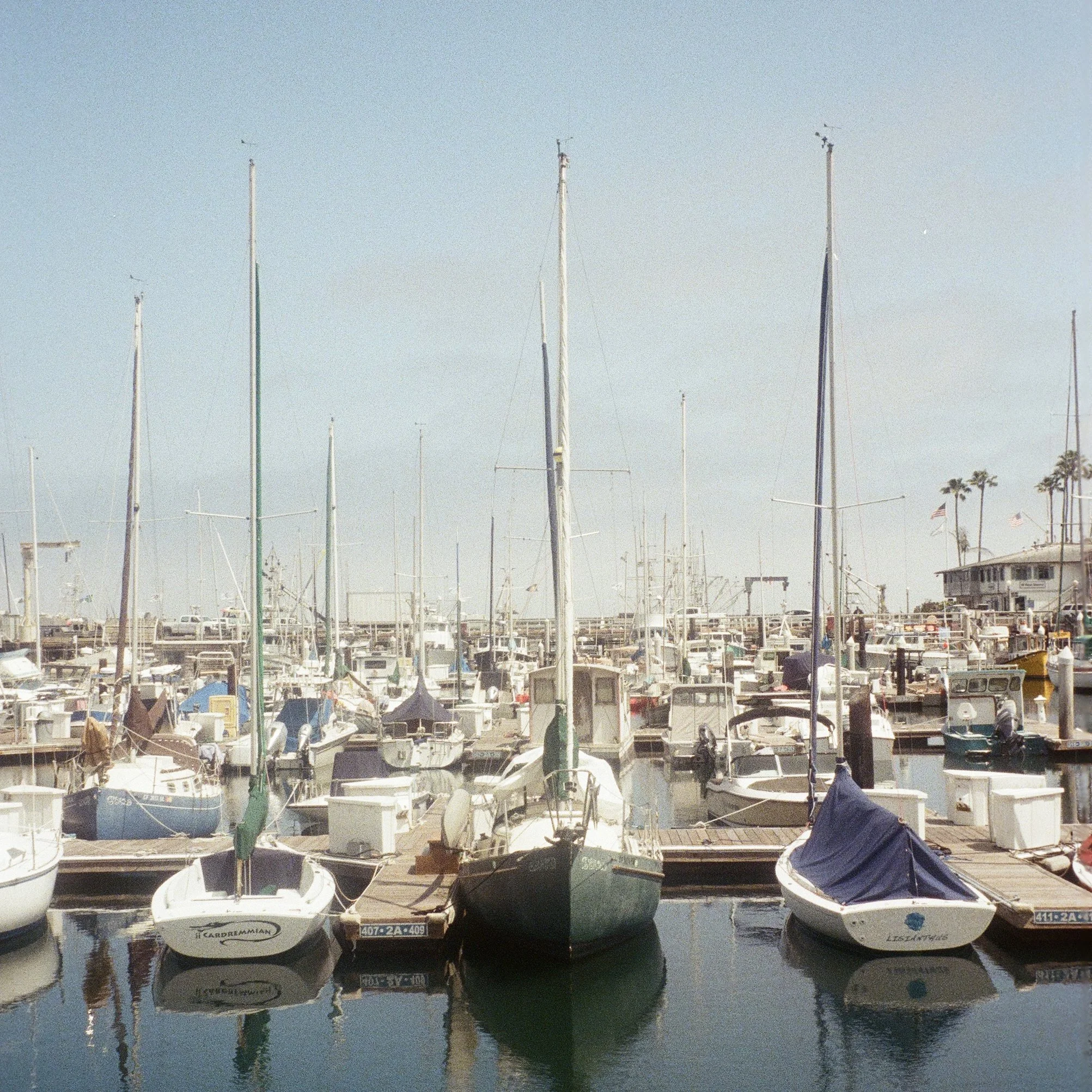 IMG_5668.jpg