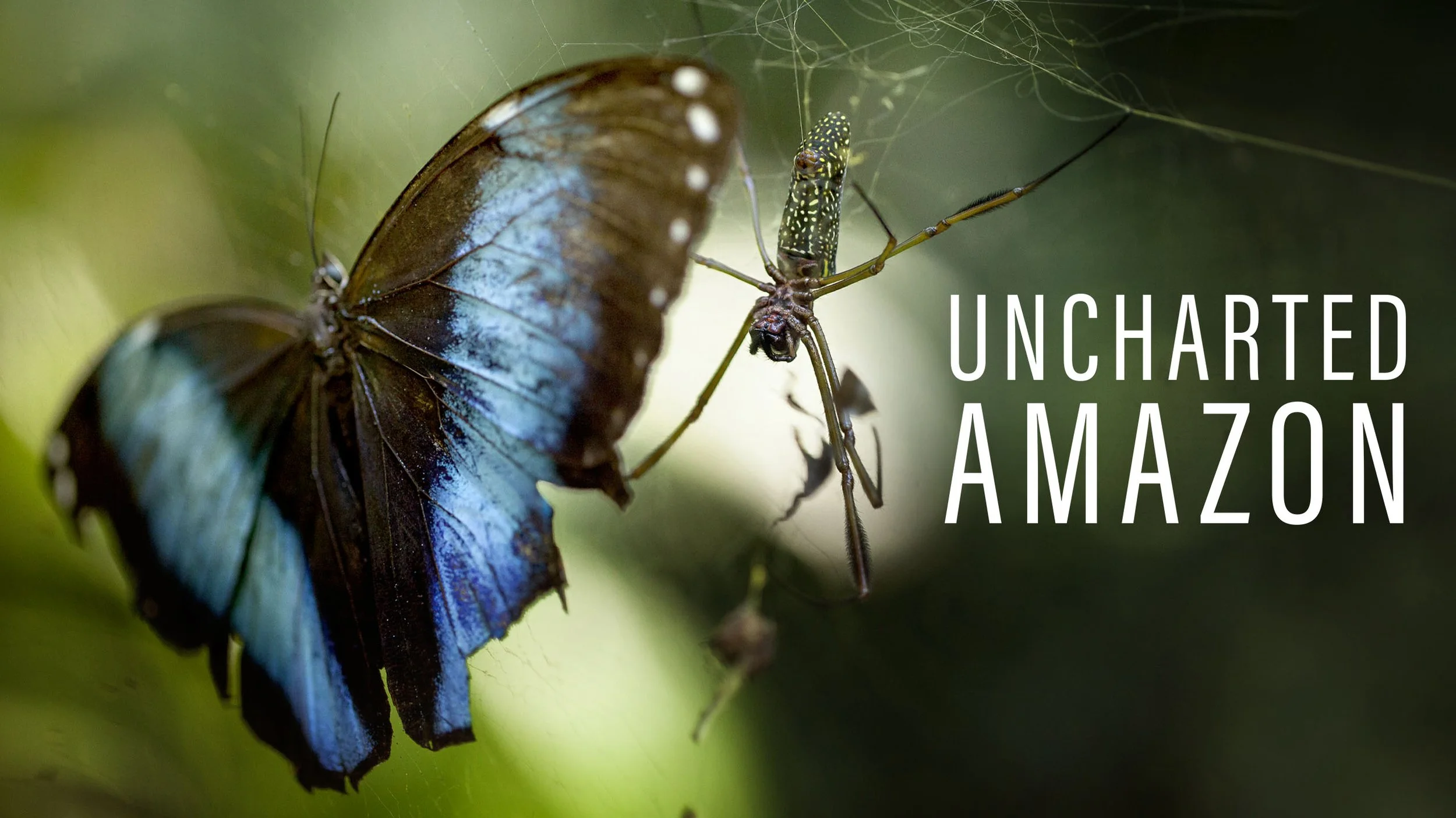 UnchartedAmazon#sdp_na_01_en.jpg
