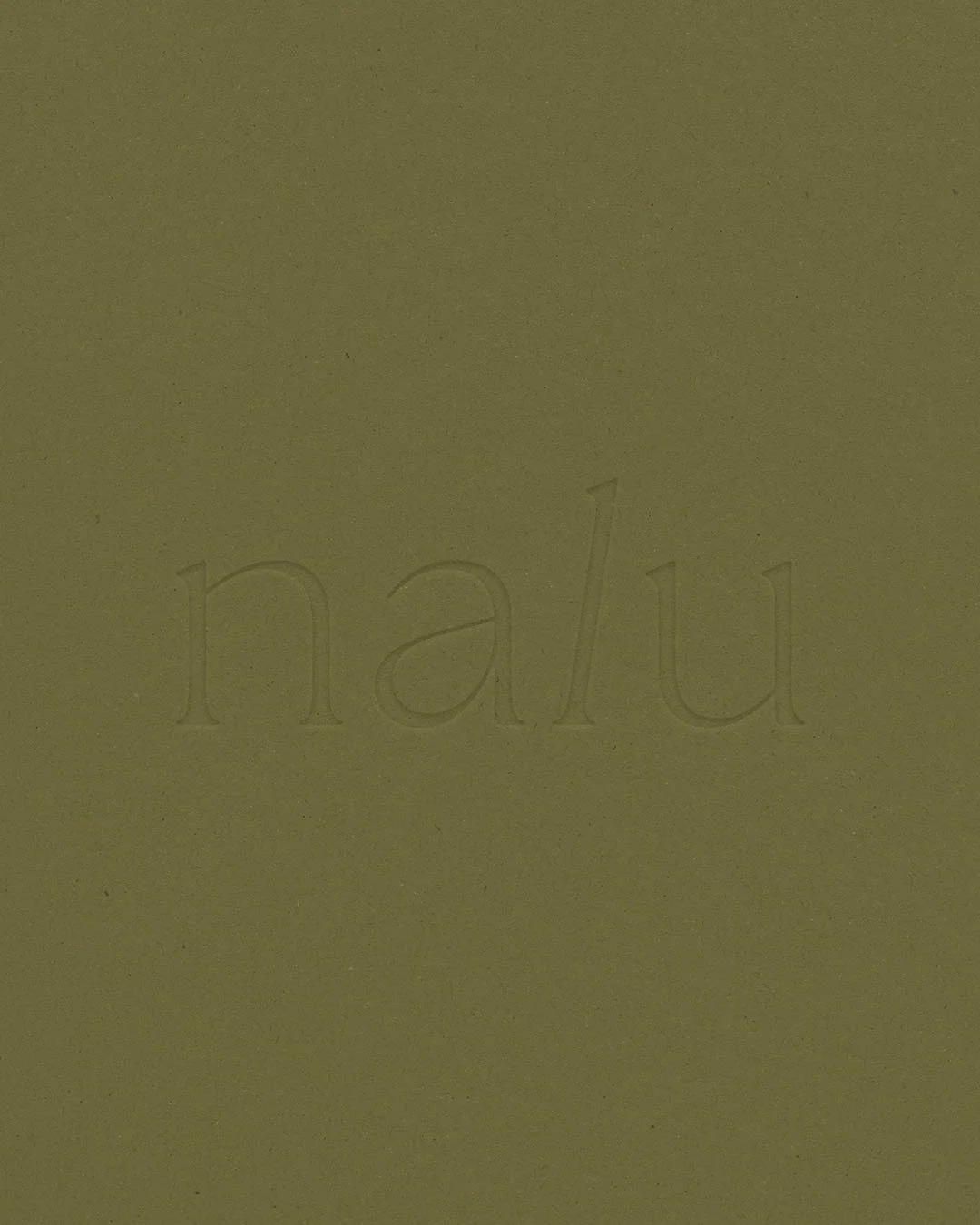 DesignBrief_Nalu_OOH_01.jpg