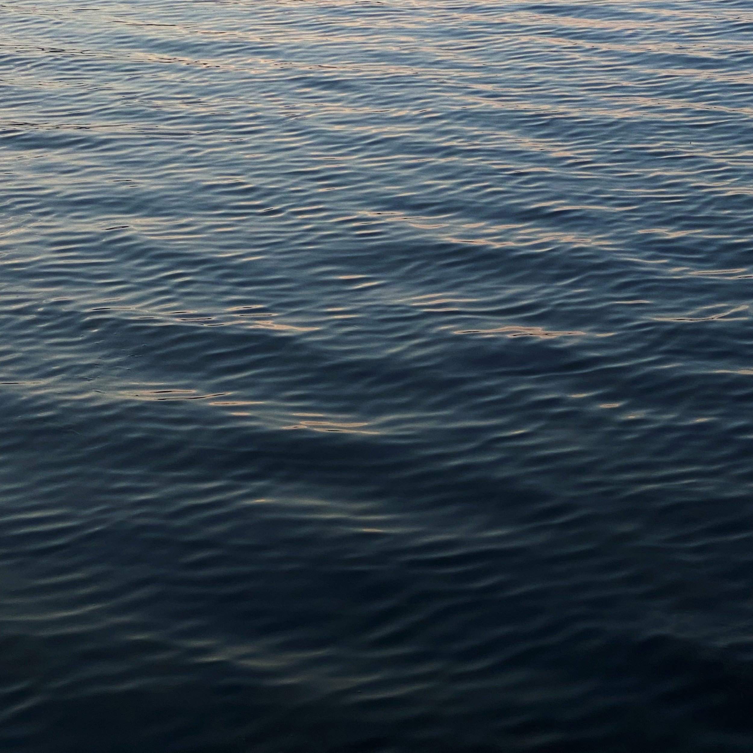 0D86B263-F2C1-41AB-876D-DC2243160AF6.JPG