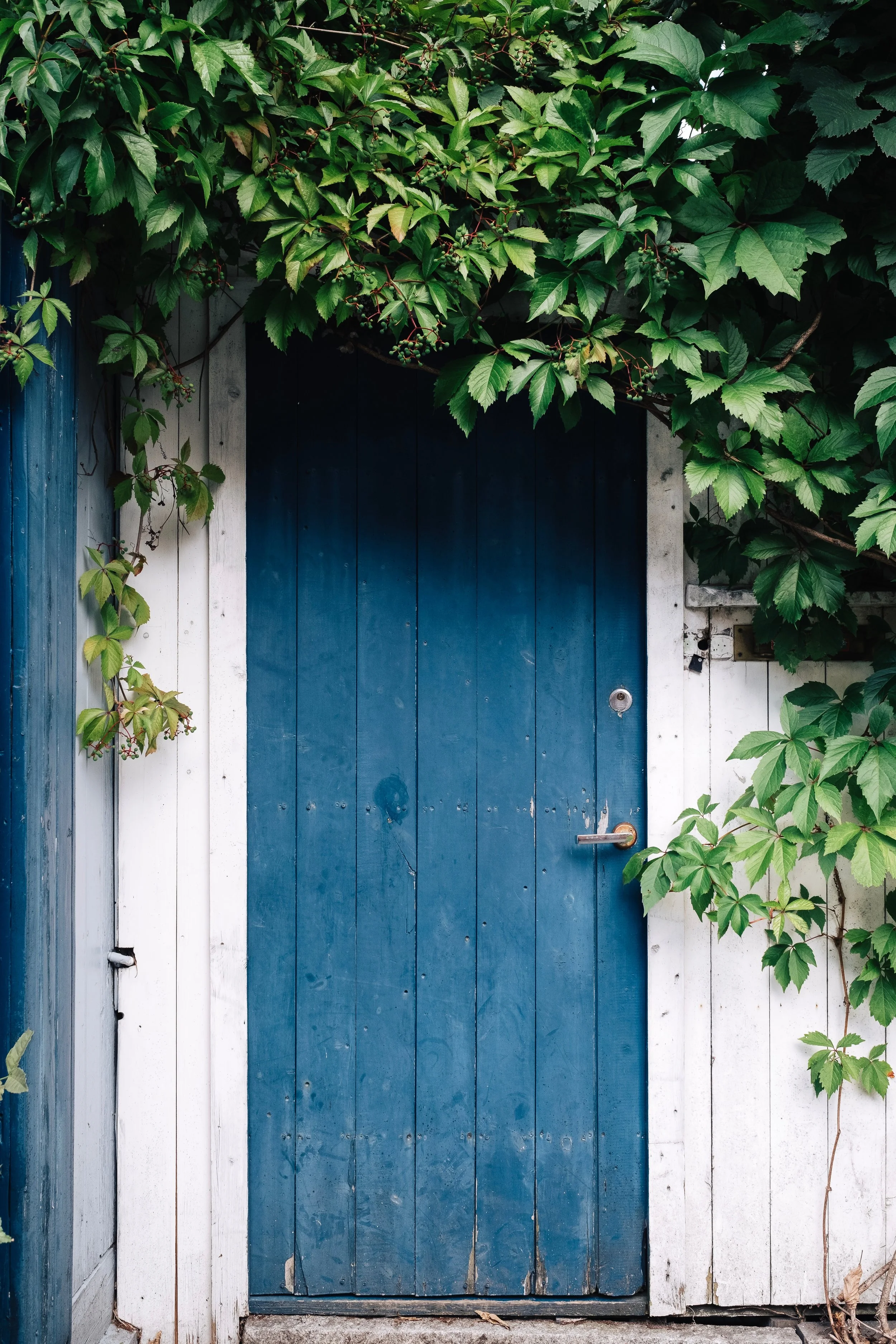 jonas-jacobsson-344604-unsplash.jpg