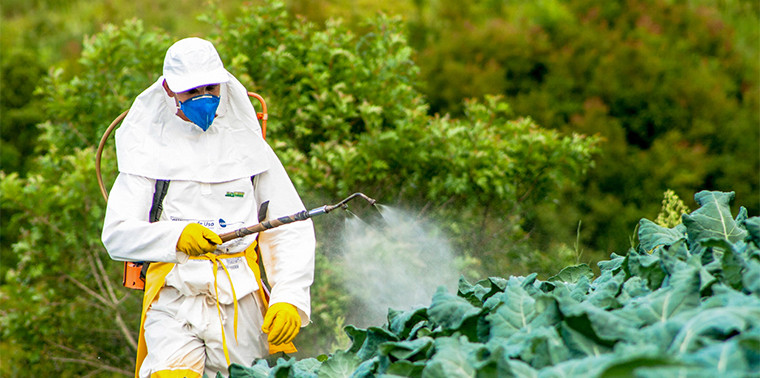 Can Eating Organic Lower Your Risk To Pesticides?