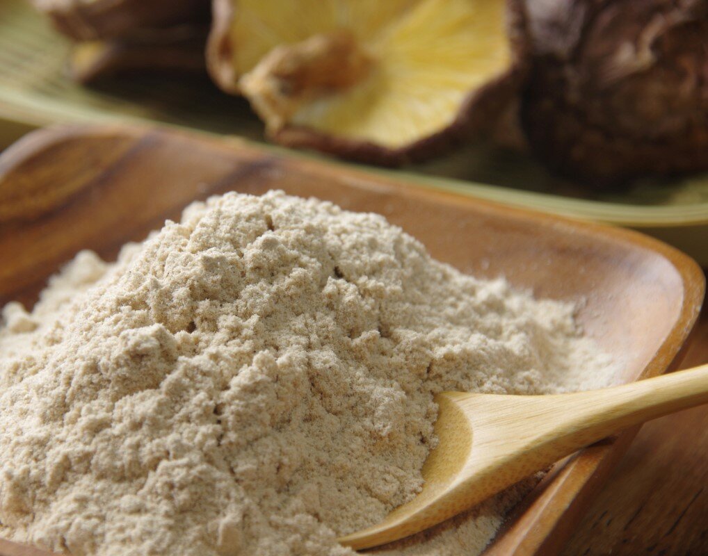 Top 7 Benefits Of Medicinal Mushrooms