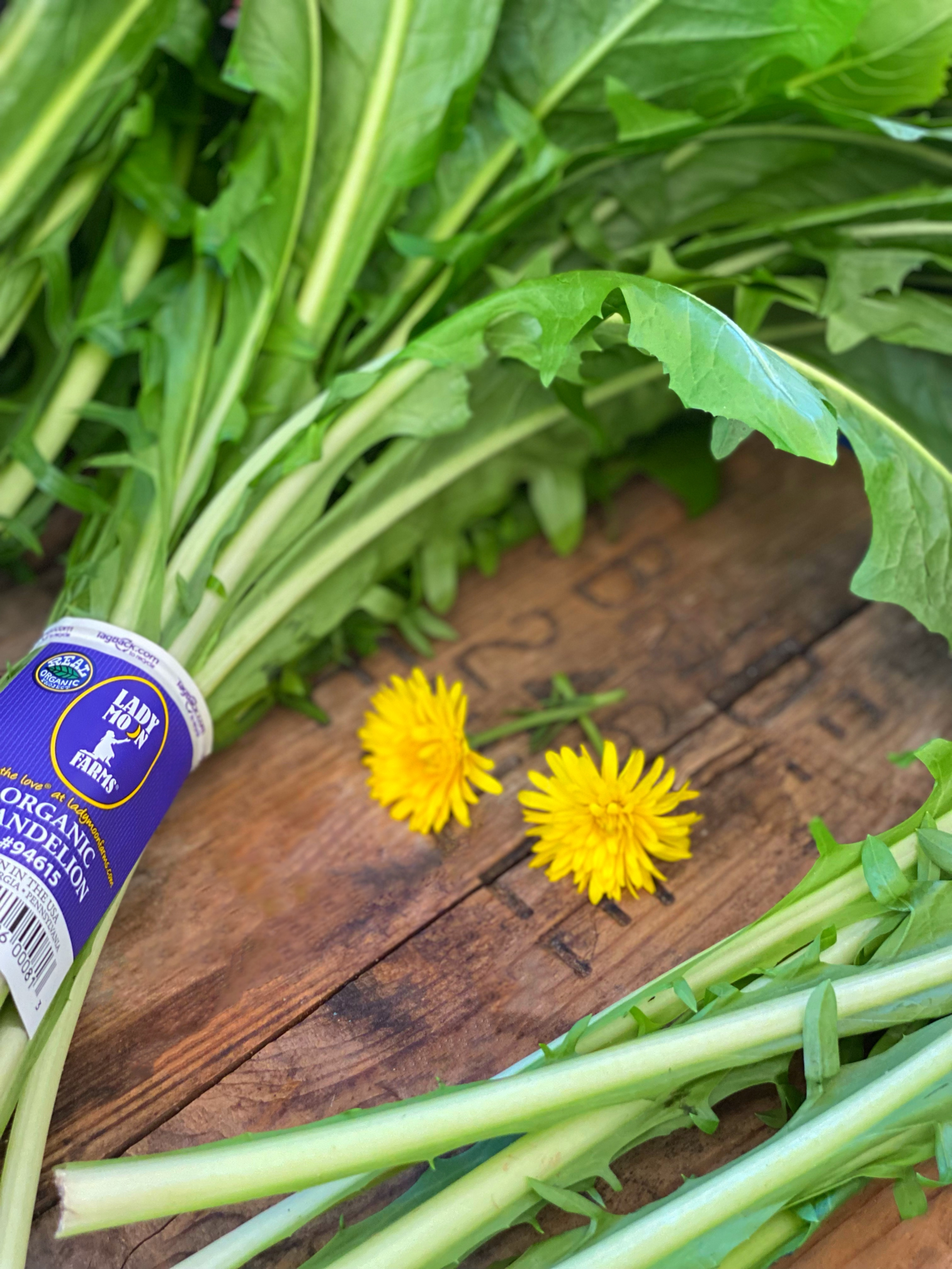 Eat Your Dandelions!