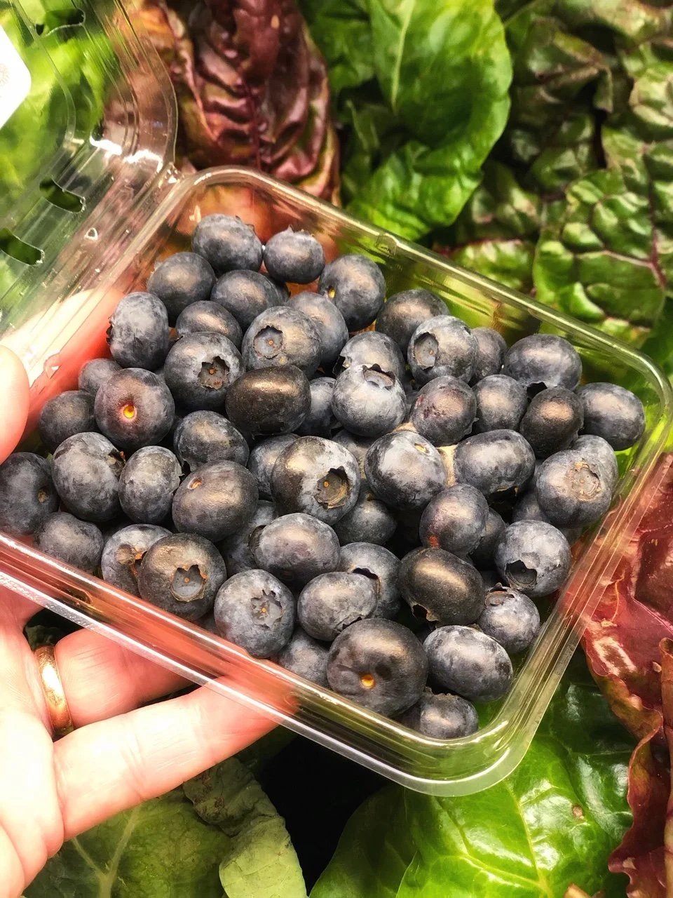 Top 12 Anti-Inflammatory Foods