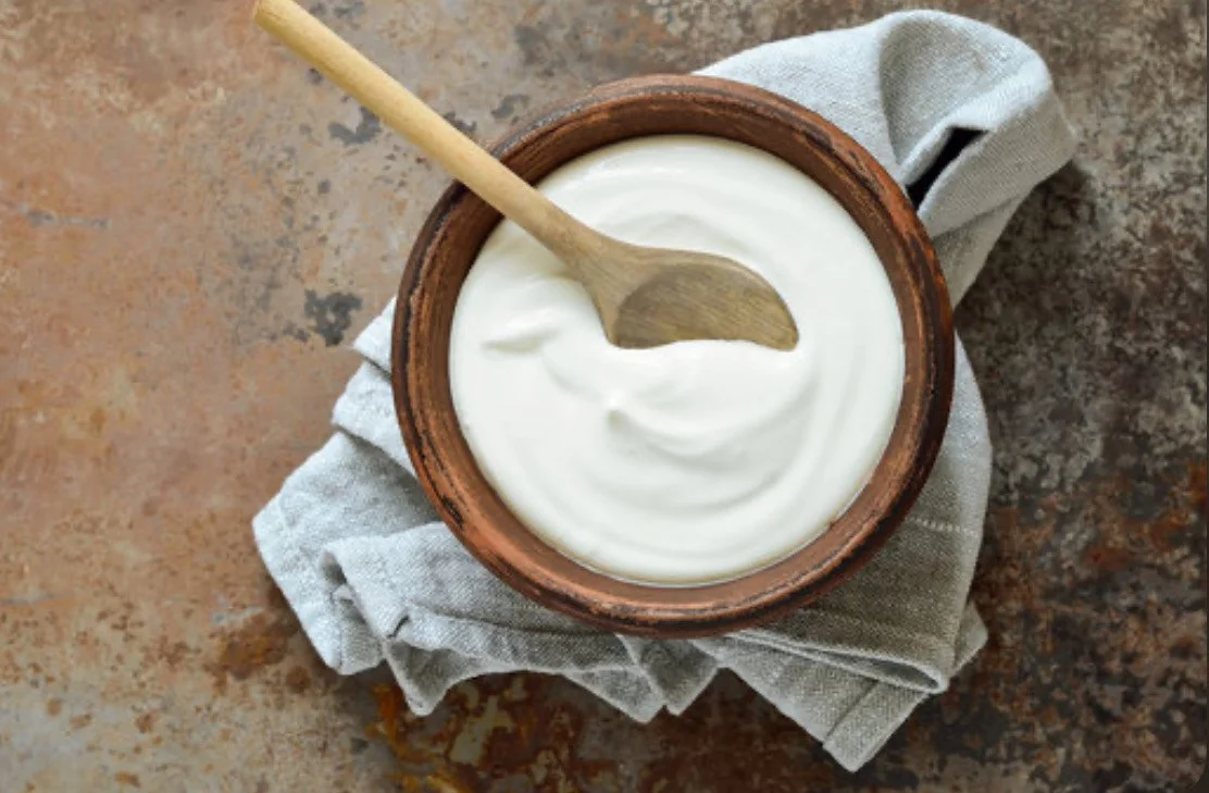 Probiotics And Prebiotics 