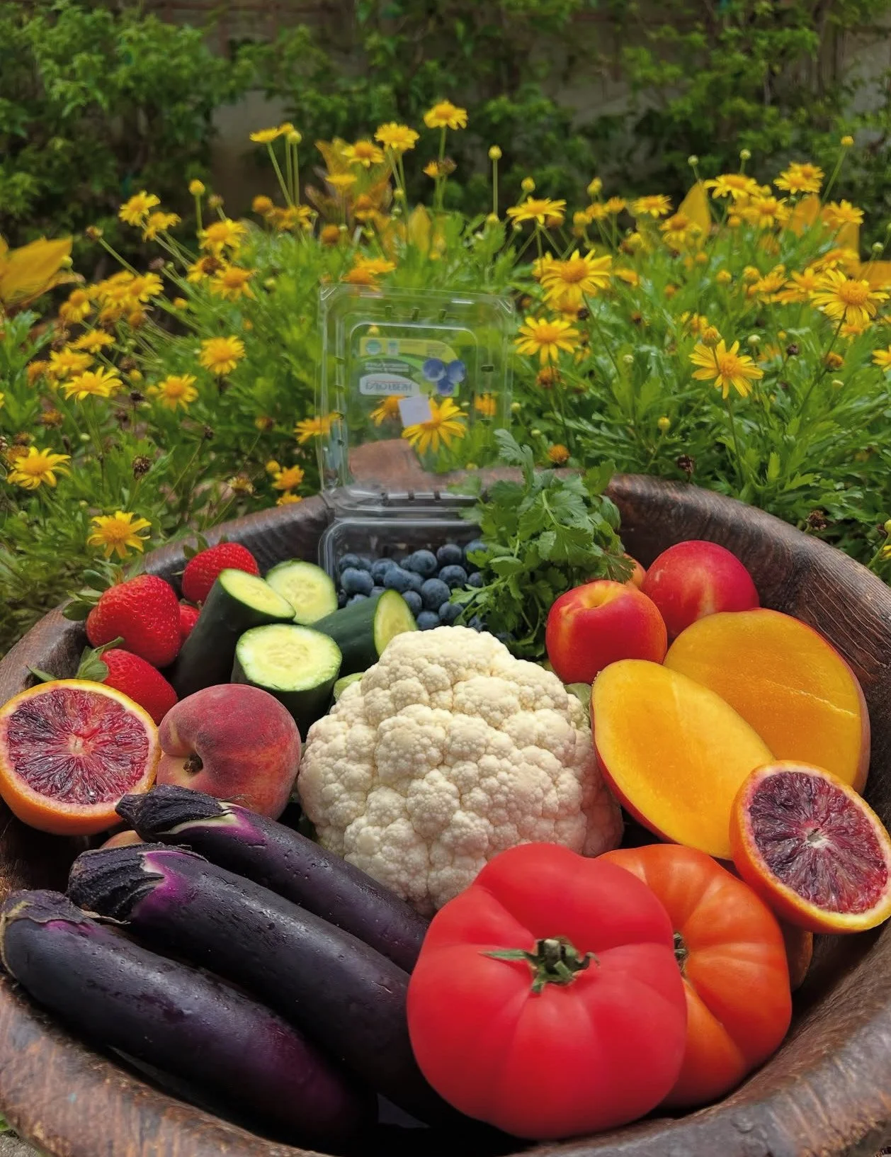 Eat the Rainbow: The Key to Better Health