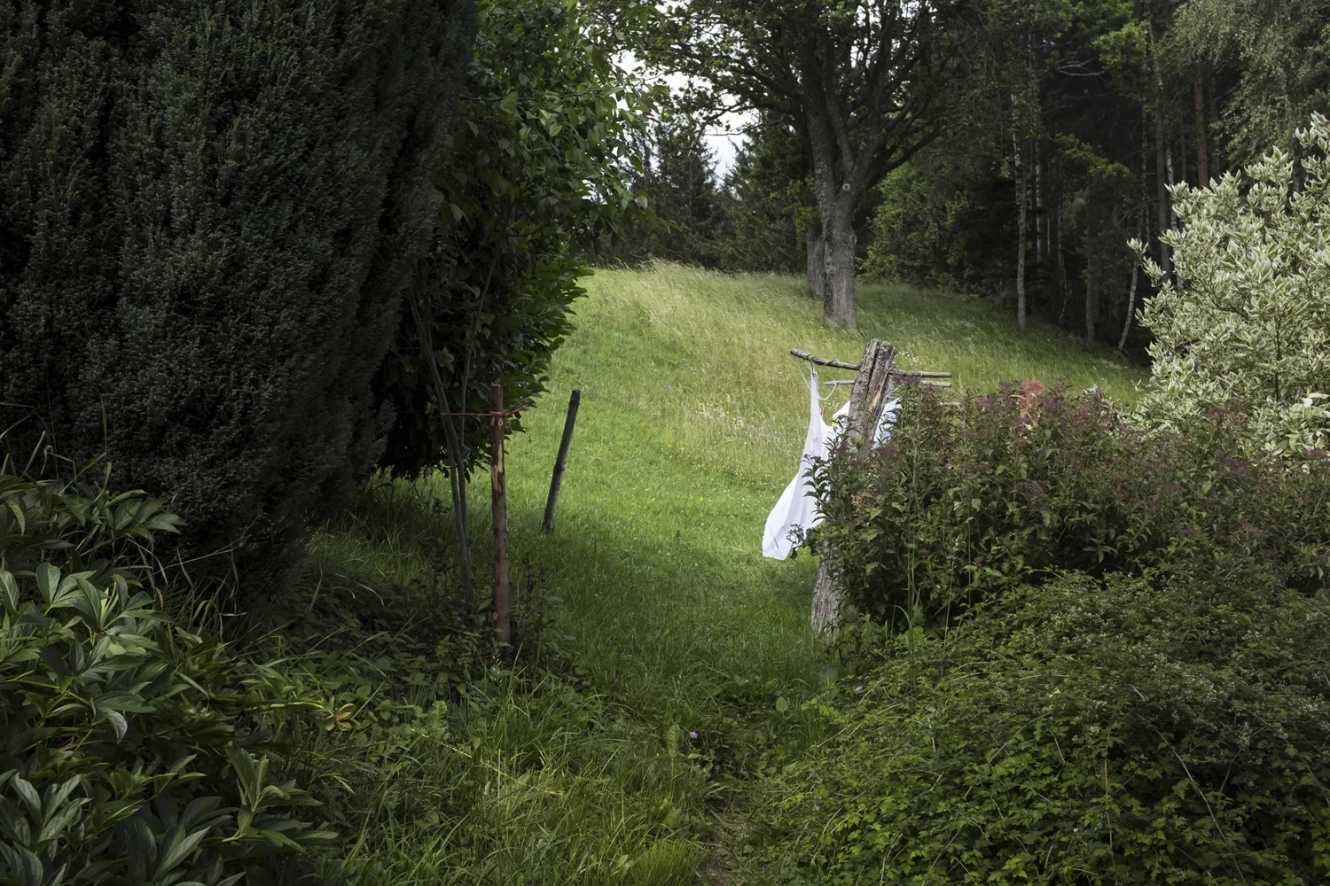 14_Katja_Goljat_Home.jpg