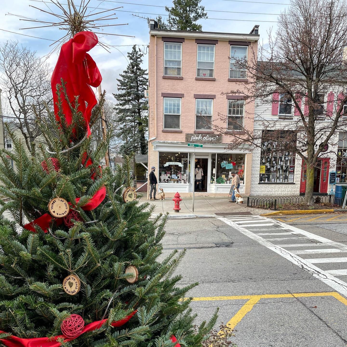 Could you be any cuter @pinkoliveshop ? We spent Sunday exploring one of our favorite NY towns for shopping small. Cold Spring, NY! We&rsquo;d love to hear your favorite shopping spot outside of the city in the comments! 

#shopwithny #christmasshopp