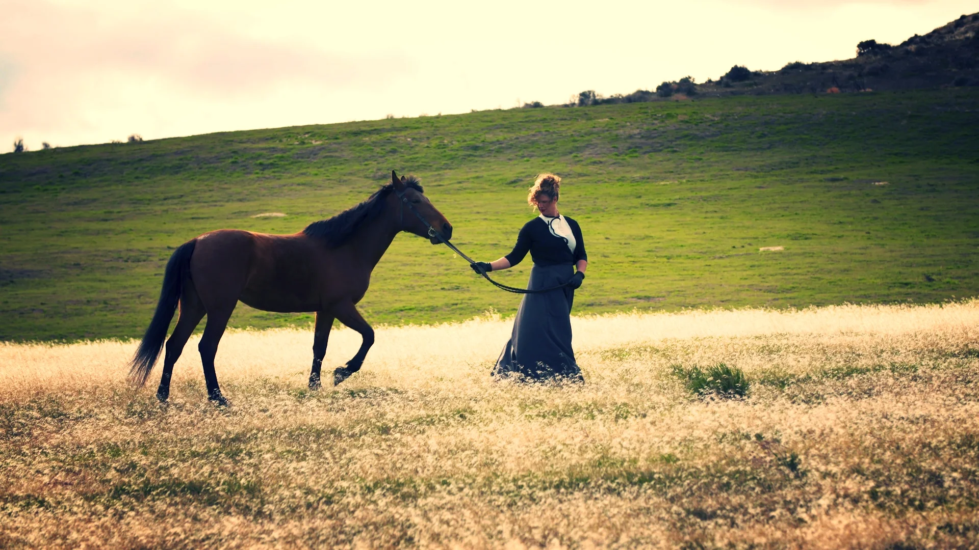 "Taking the Reins" documentary for IPTV