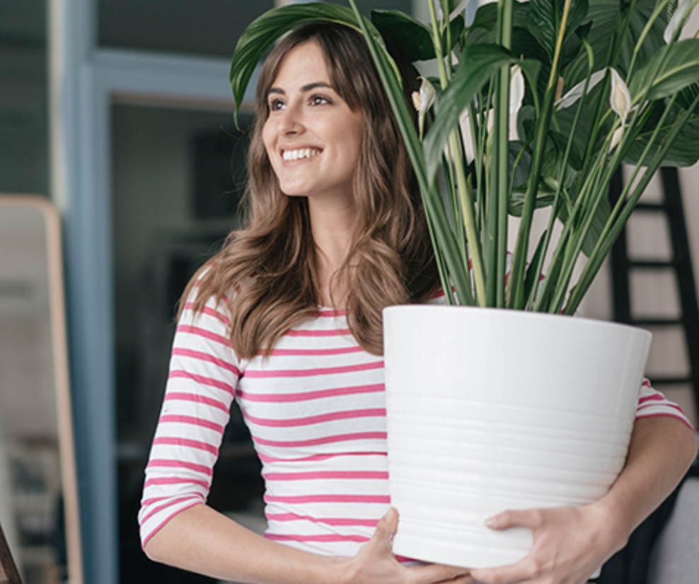 4 Tips To Prep for Your Home Sale This Fall	