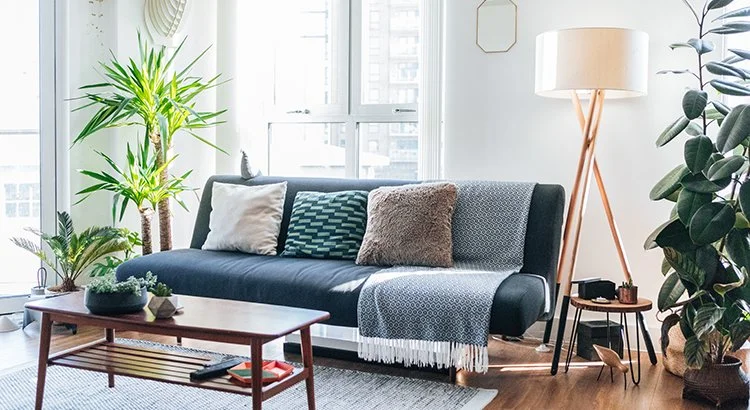 interior photo showing living
