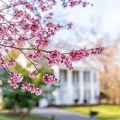 This Spring Presents Sellers with a Golden Opportunity