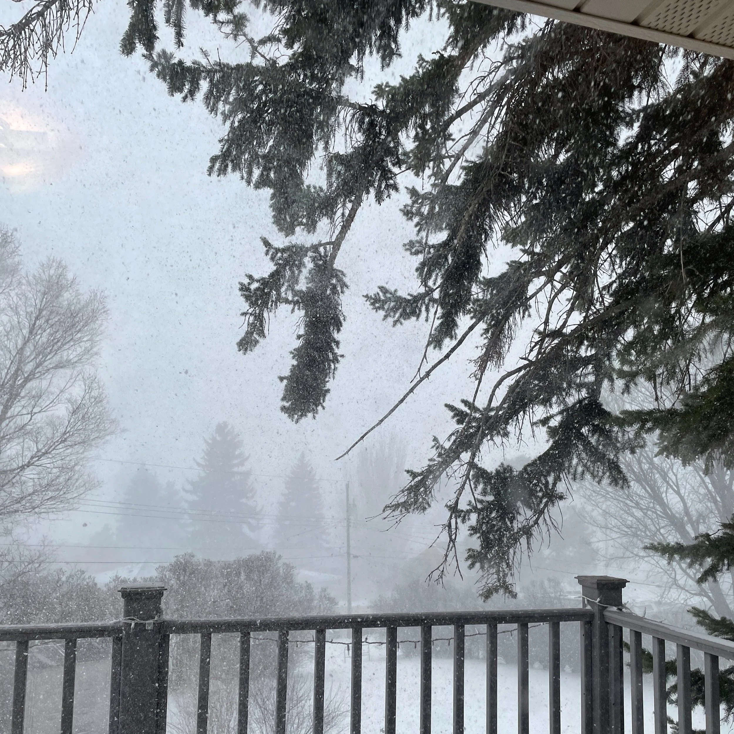Moving to Bismarck ND? Here’s how to survive the winter
