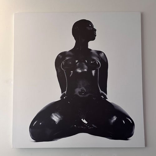 DAPHNE EŃ NOIR PAINTING - 60X40