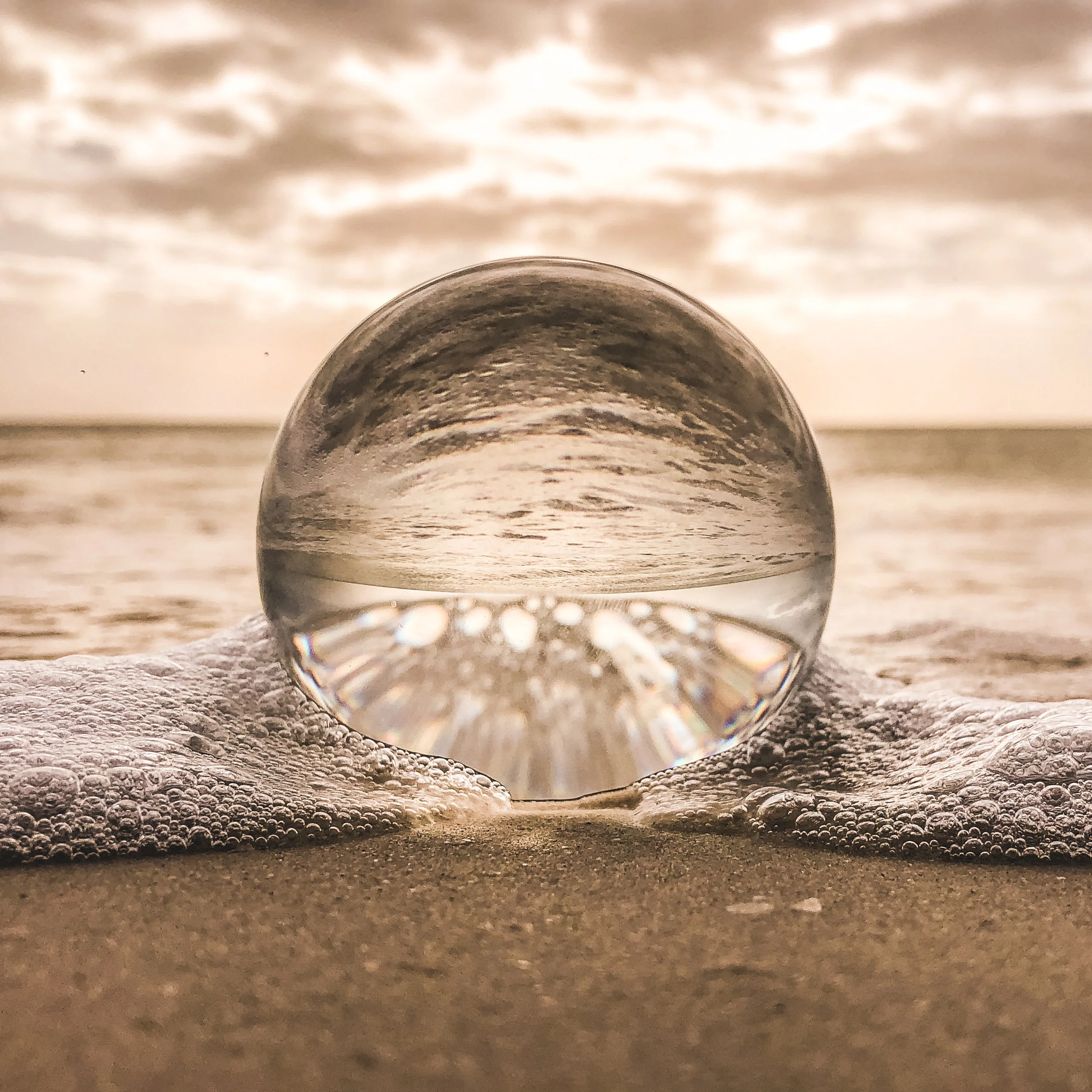 beach-macro-nature-831890.jpg