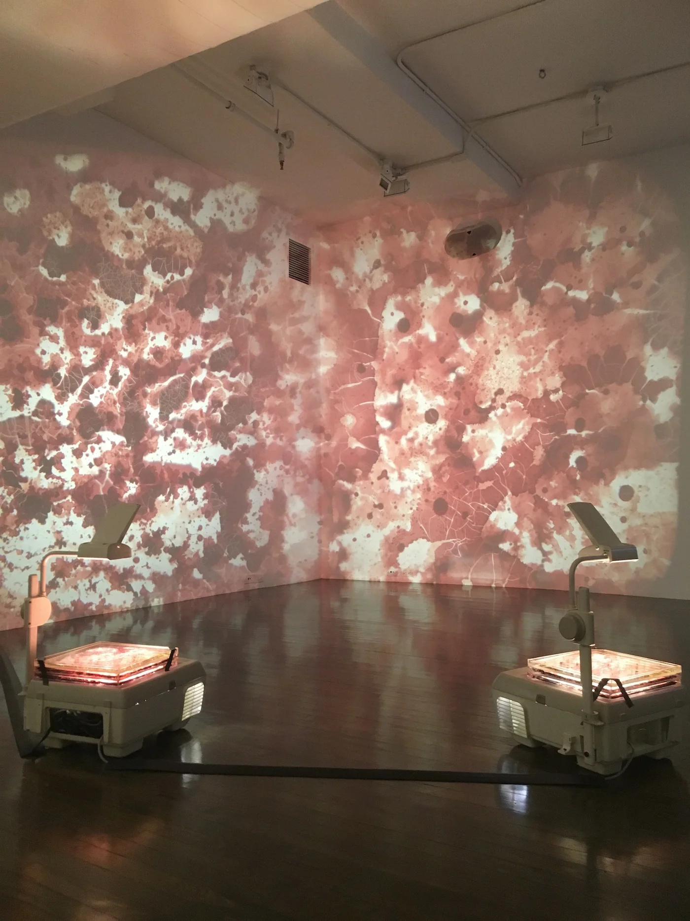 Hyperallergic Review: Artists Share Their Personal, Tragic Experiences in Health and Care