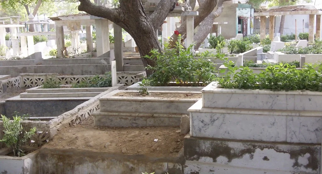 January 11, 2017: Rehan Ansari and Ping Chong + Company: Theatrical Duet