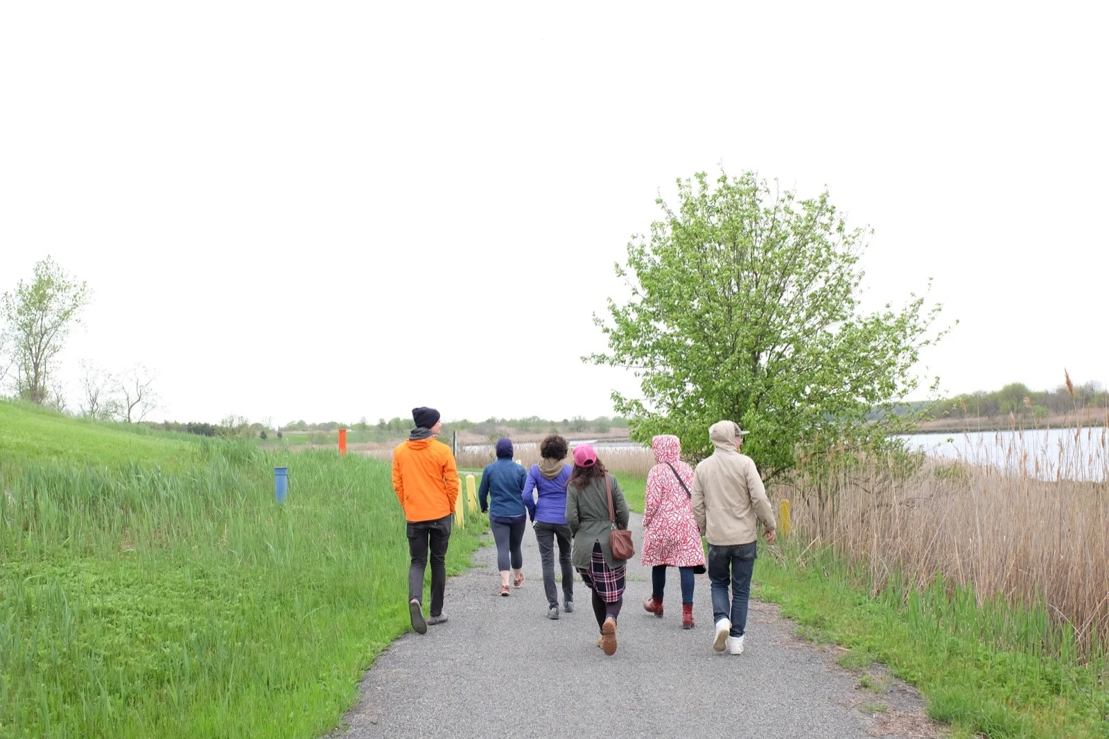 At Freshkills Artists Embark On New Project With Field R/D