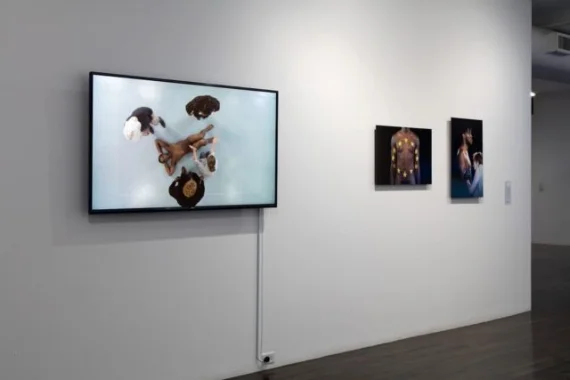 Installation view of Enacting Stillness at The 8th Floor (Courtesy the artists and The 8th Floor, New York)