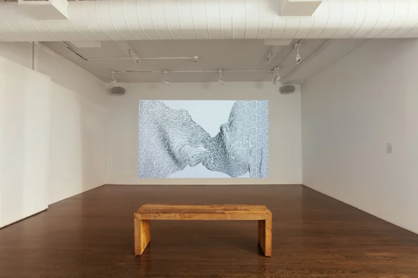 Raqs Media Collective, Undoing Walls , 2017. Installation view. Image courtesy Raqs Media Collective. Photo: Julia Gillard.