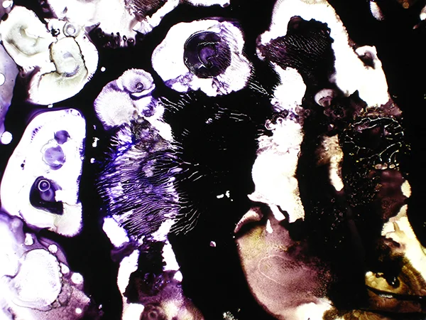 Conjugation Rejected Specimen #4