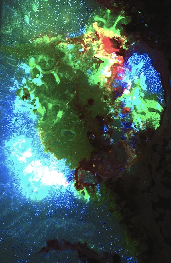 Bioluminescent