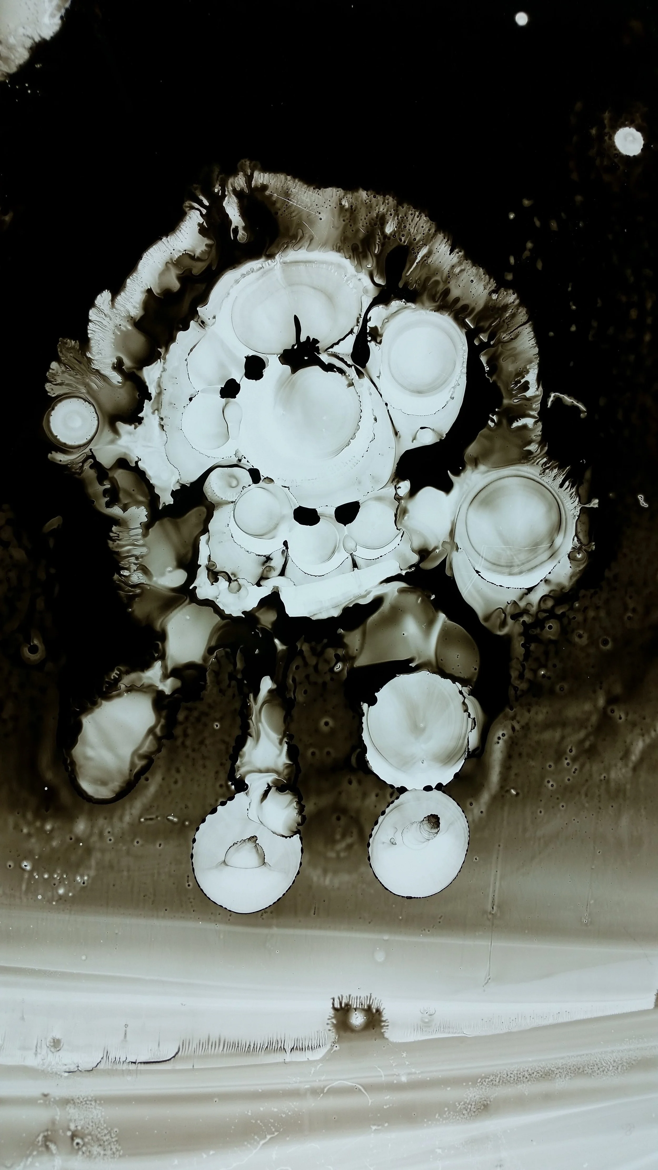 Specimen in Black