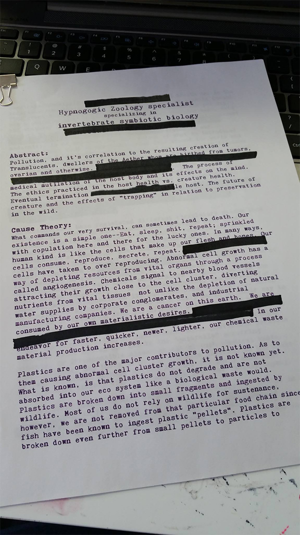 Redaction.jpg