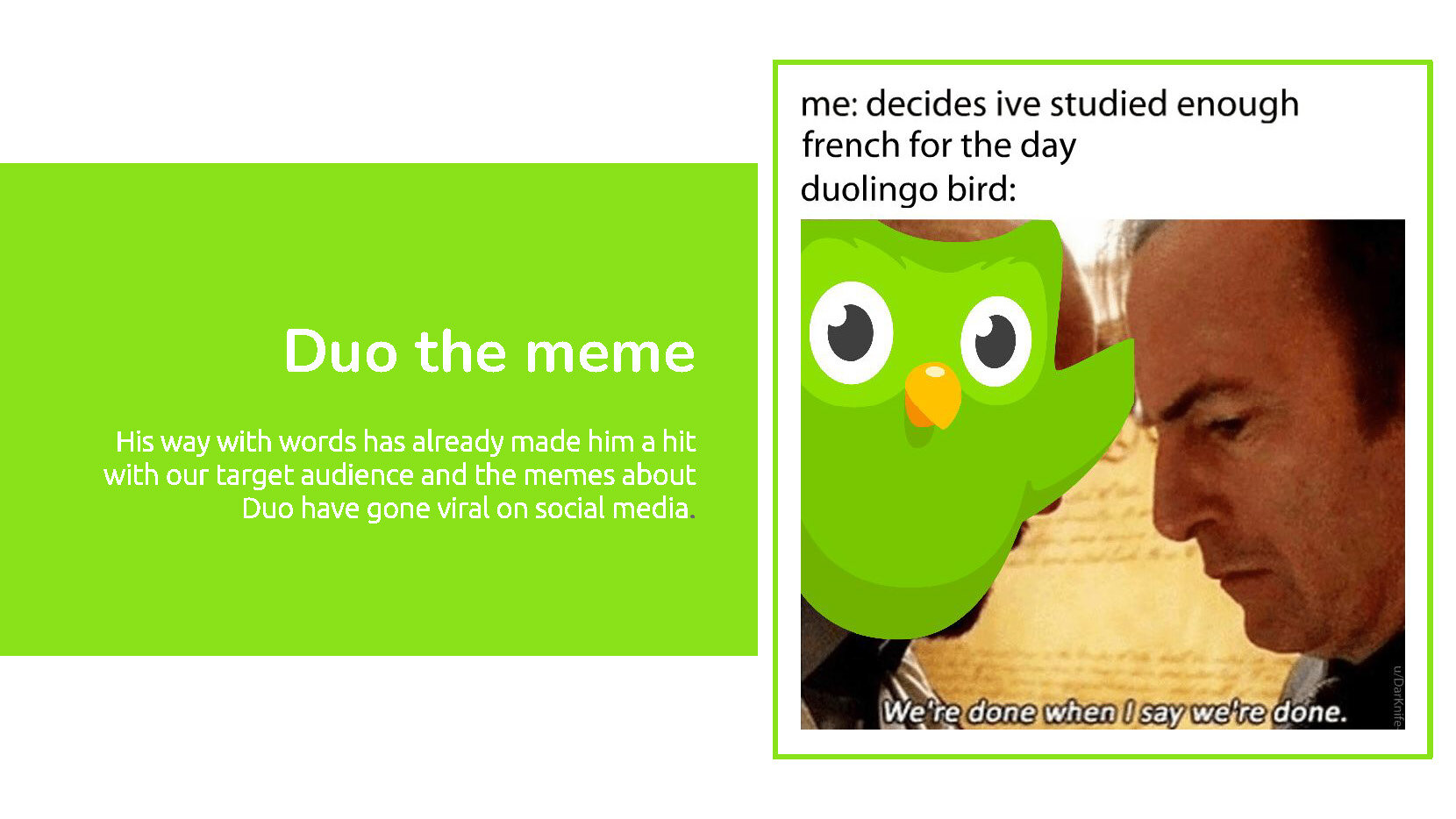 Pages from Duolingo_CaprinaSmith&PatRuvo_Presentation_Page_03.jpg