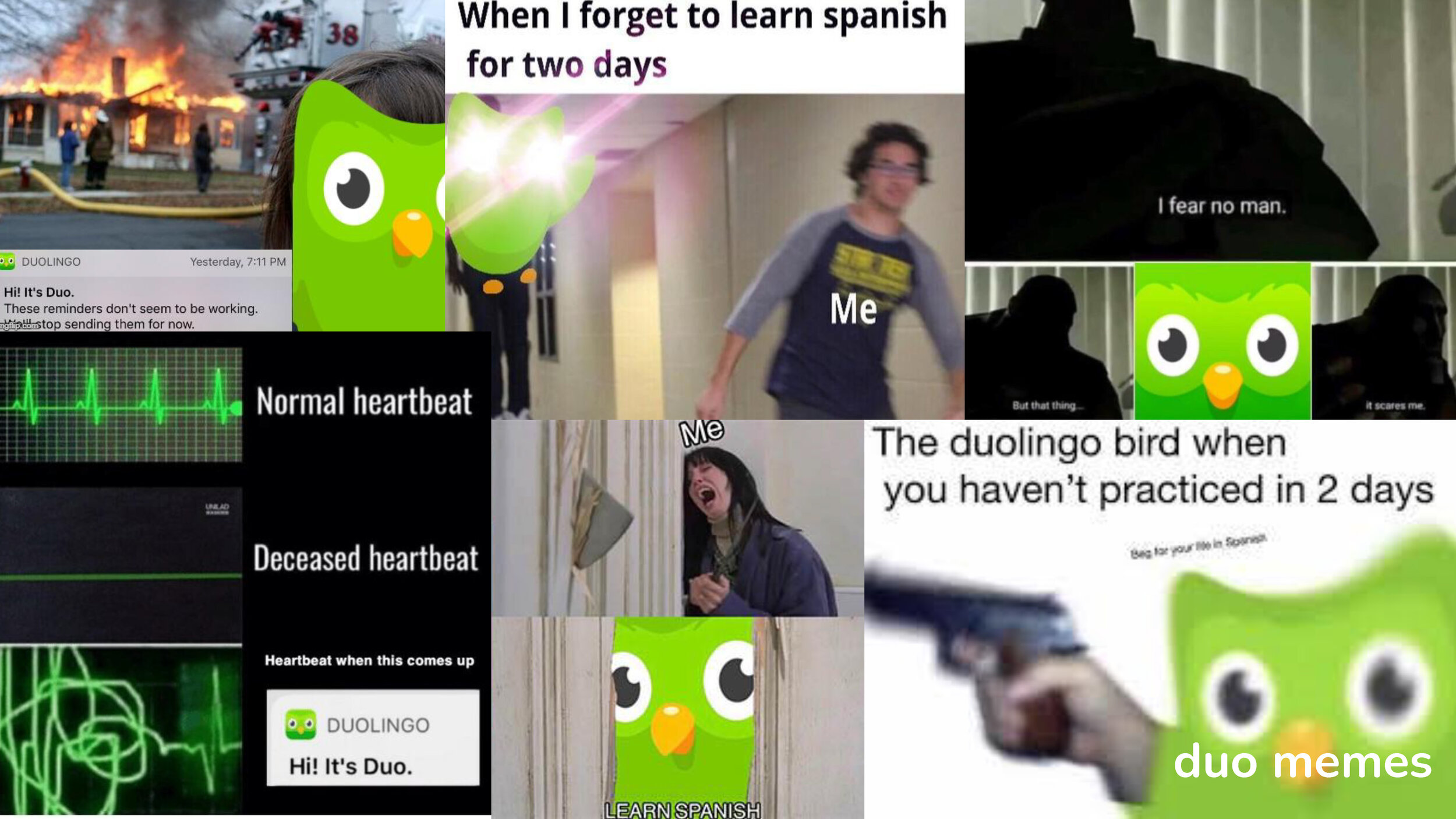 Pages from Duolingo_CaprinaSmith&PatRuvo_Presentation_Page_04.jpg