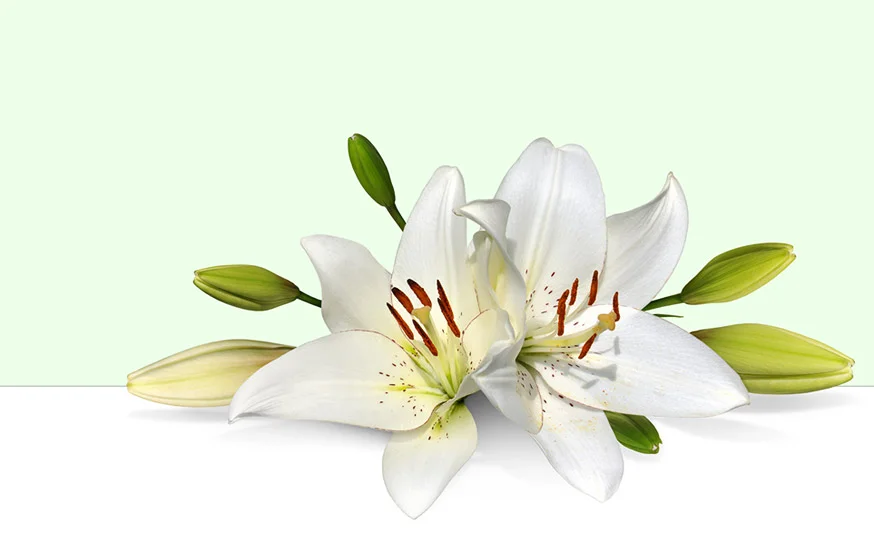 Easter Sunday @ 9:00 am
