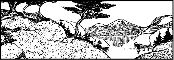 Calm Lake Scene.jpg