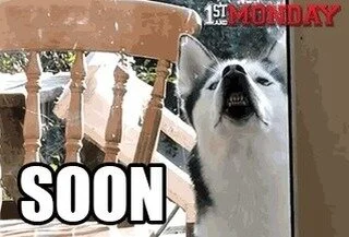 @whitepanda  set coming to you in less than an hour as long as you're an #AFPandas holder!!! Check the Discord for more info discord.gg/afpnft